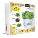 Kit de cultivo fácil 3 plantas culinarias, Seed Box Culinarias
