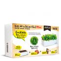 Kit de cultivo fácil Mini Ensaladas, Seed Box Mini Ensaladas