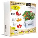 Kit de cultivo fácil 3 plantas picantes, Seed Box Picante