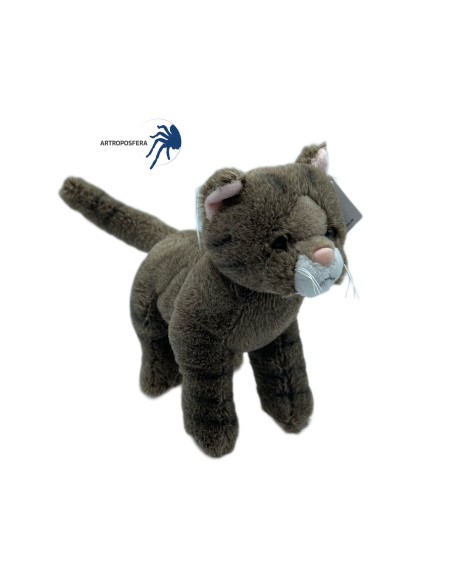 Peluche Gato