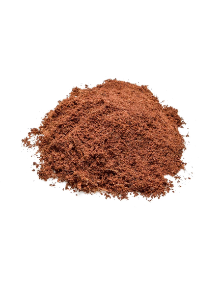 Giga coco