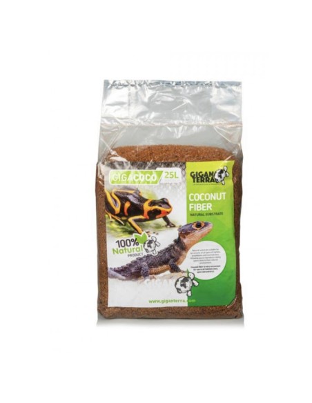 Giga coco