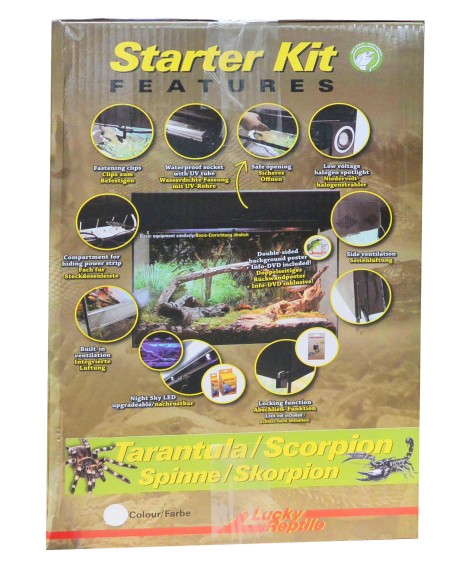 Lucky Reptile Kit de iniciación de 50 cm para Invertebrados.