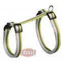 Arnés-Correa Conejos, Nylon, 27-45cm/10mm, 1.20m 
