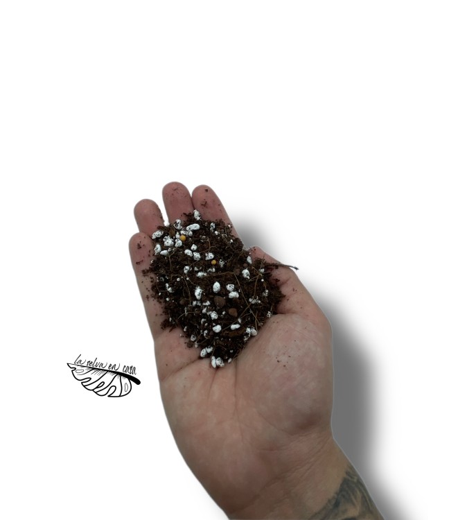Sustrato Premium para Cactus y Suculentas.
