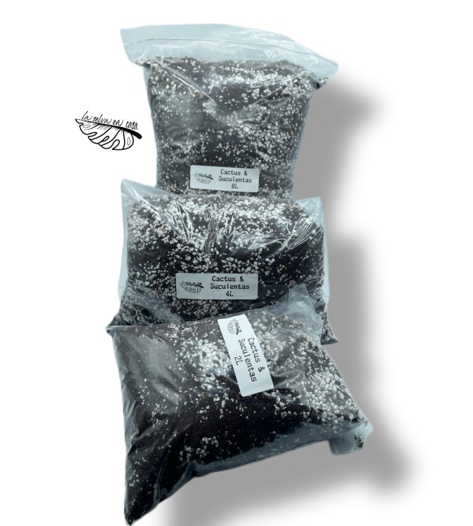 Sustrato Premium para Cactus y Suculentas.