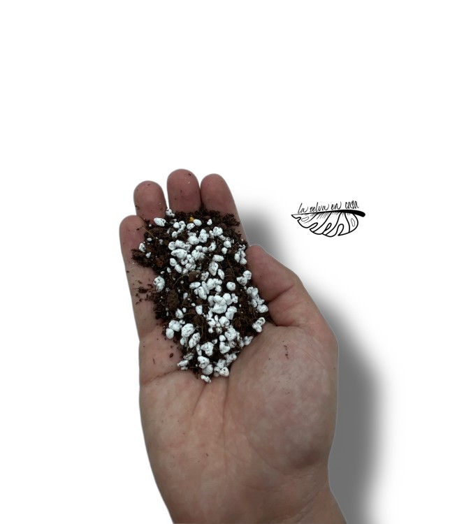 Sustrato Premium para Lithops.