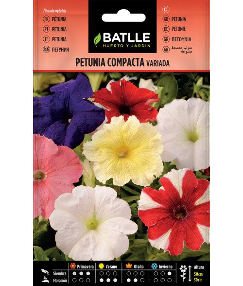 Petunia Compacta Variada