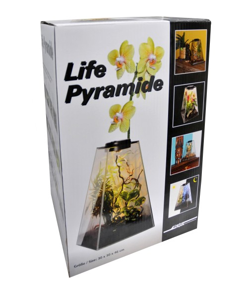 Life Pyramid 45 cm con luz LED y casquillo para Halógeno