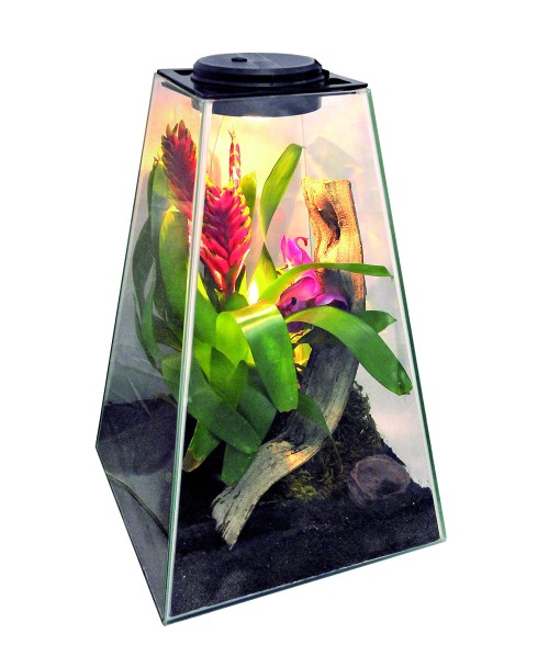Life Pyramid 45 cm con luz LED y casquillo para Halógeno