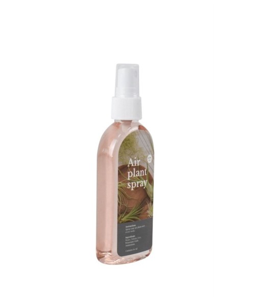 Tillandsia Air Plant Spray – Fertilizante para Tillandsias