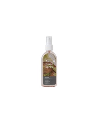Tillandsia Air Plant Spray – Fertilizante para Tillandsias 2