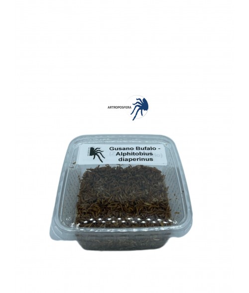Gusano Bufalo 50gr.