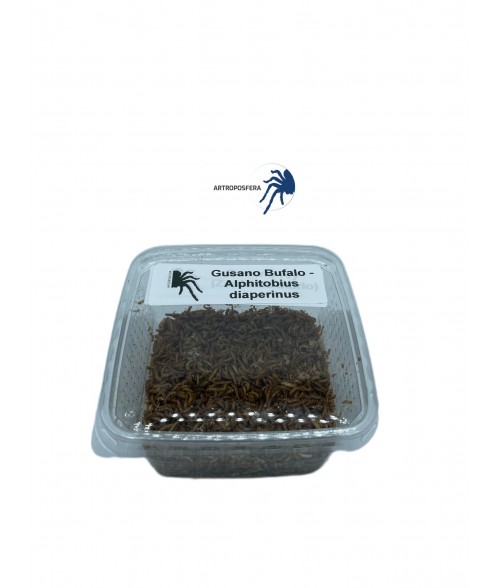 Gusano Bufalo 50gr.