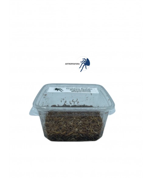 Gusano Bufalo 50gr.