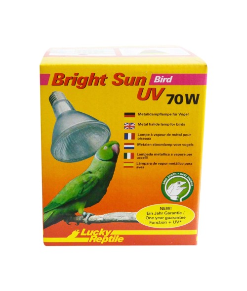 Bright Sun Bird, Lámpara de halogenuros metálicos.