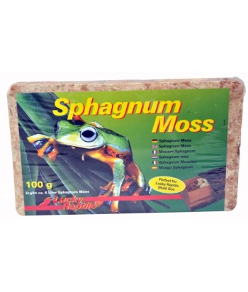 Sphagnum Moss, Lucky reptile. 2