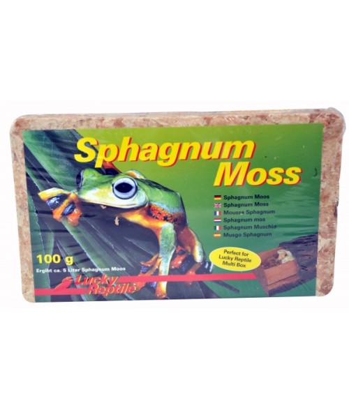 Sphagnum Moss, Lucky reptile.