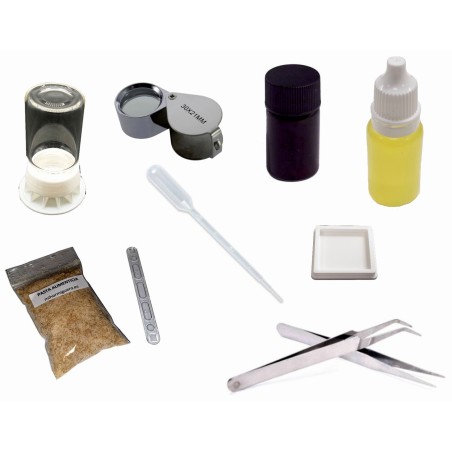 Kit de mantenimiento hormigas.