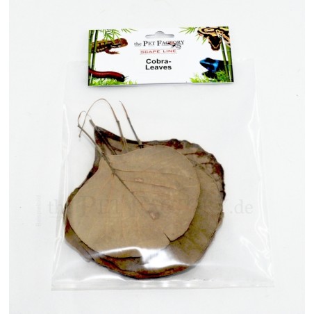 Cobra leaves applegreen | Artroposfera