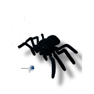 Peluche araña negra