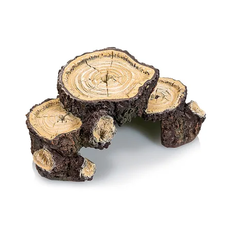 Plataforma alturas tronco. Giganterra