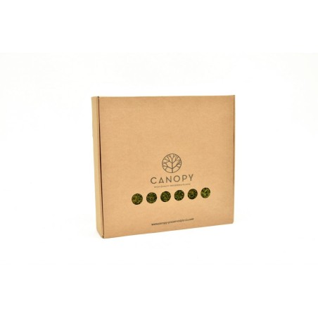 Musgo preservado Long Moss..