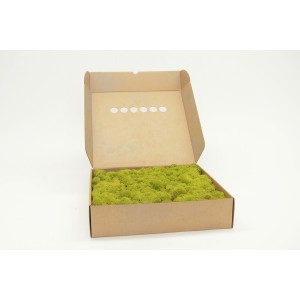 Musgo preservado Reinder Moss.
