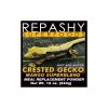 Crested Gecko Mango - "SUPERBLEND"
