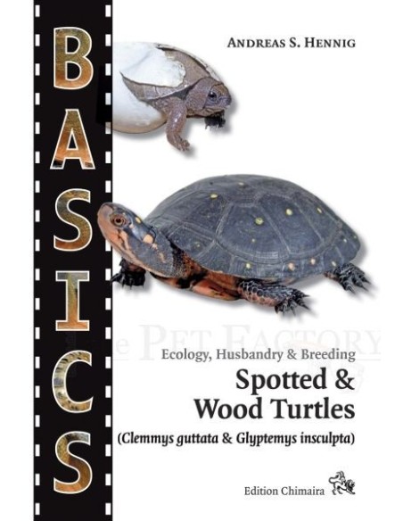 Spotted & Wood Turtles