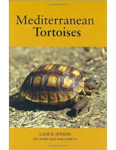 Mediterranean Tortoise. Lance Jepson.