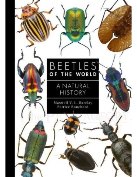 Beetles of the World