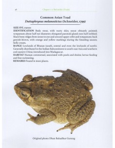 The Amphibians of Bhutan 2