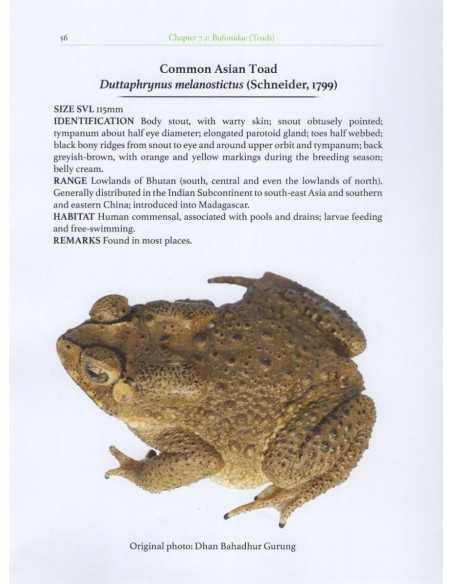 The Amphibians of Bhutan