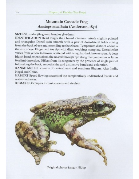 The Amphibians of Bhutan
