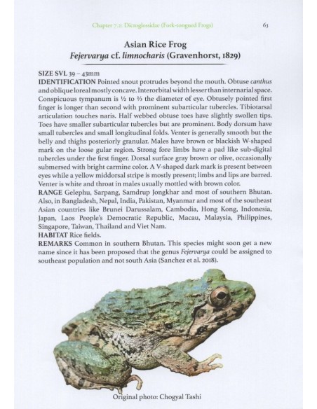 The Amphibians of Bhutan