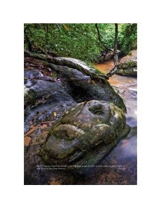Amphibians of Cambodia