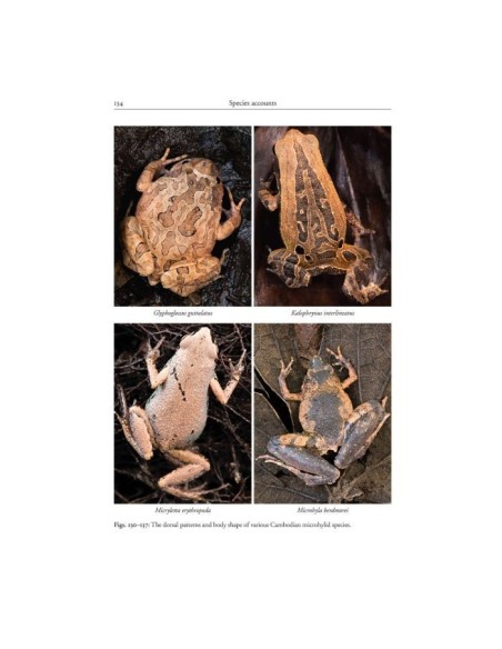 Amphibians of Cambodia