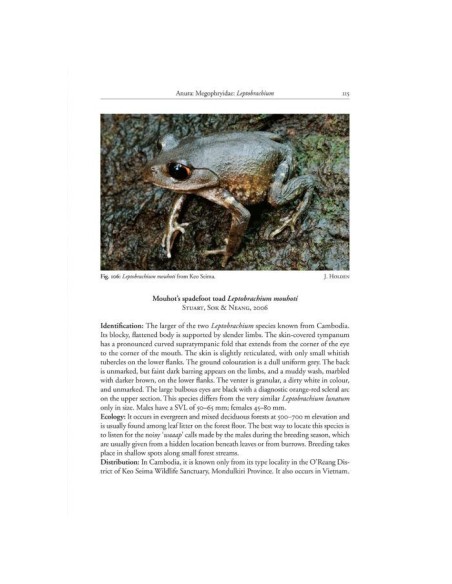 Amphibians of Cambodia
