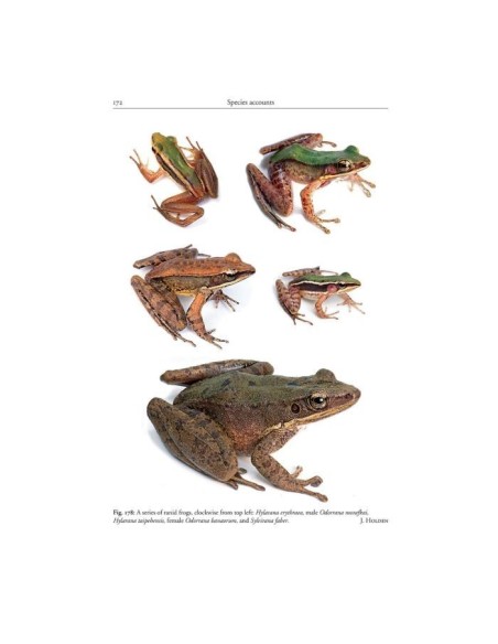 Amphibians of Cambodia