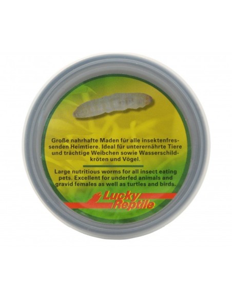 Herp Diner Bamboo Worms 35 gr. Lucky Reptile.