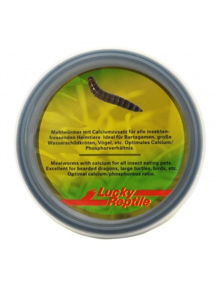 Herp Diner Mealworms 35 gr. Lucky Reptile.