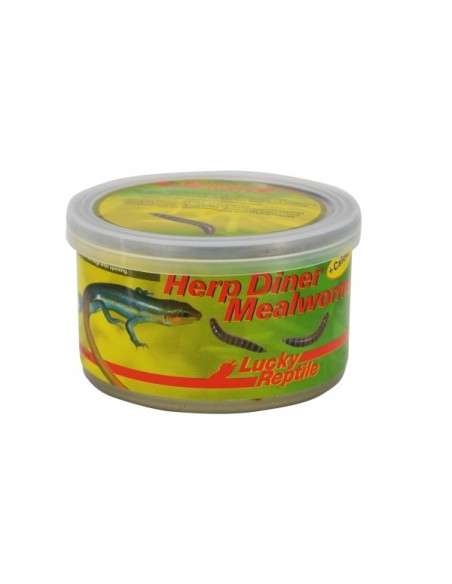 Herp Diner Mealworms 35 gr. Lucky Reptile.