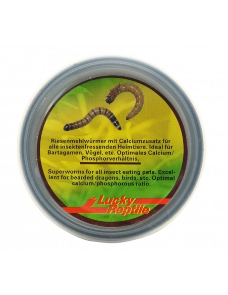 Herp Diner Super Worms 35 gr. Lucky Reptile.