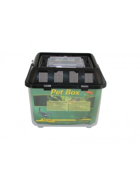Lucky Reptile Pet Box, terrario de acrílico.