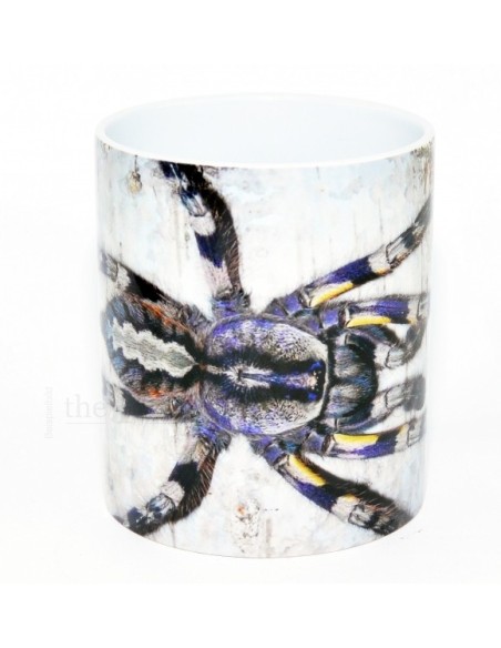 Taza Poecilotheria regalis