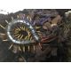Scolopendra subspinipes dehaani "Yellow legs"(adulto)