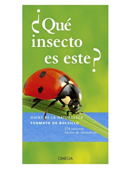 ¿QUÉ INSECTO ES ESTE?