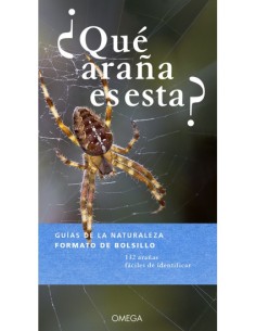 ¿QUÉ ARAÑA ES ESTA?