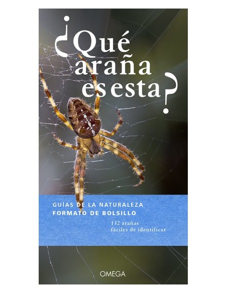 ¿QUÉ ARAÑA ES ESTA?